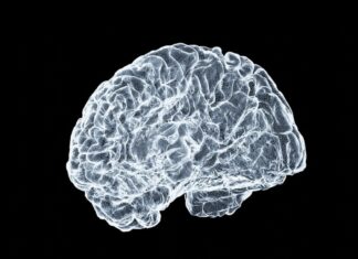 A Massive AI Analysis Found Genes Related to Brain Aging—and Drugs to Slow It Down A Massive AI Analysis Found Genes Related to Brain Aging—and Drugs to Slow It Down