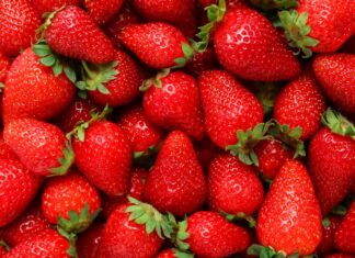 Strawberries enhance brain speed and heart health, but cognitive benefits remain unclear Study: Strawberries modestly improve cognition and cardiovascular health in older adults. Image Credit: Pixel-Shot / Shutterstock