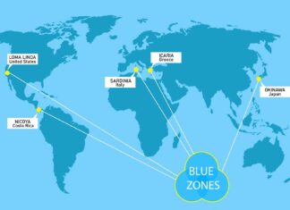 What do Blue Zone diets have in common? Polyphenols that may slow aging Review: Dietary polyphenols as geroprotective compounds: From Blue Zones to hallmarks of ageing. Image Credit Zaporizhzhia vector / Shutterstock