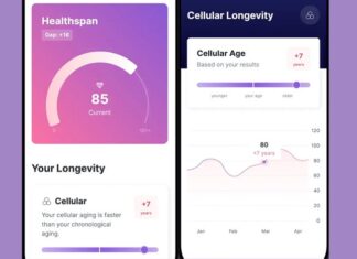 Little Rock Firm Releases AI-Powered Health App AMP