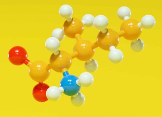 Reducing isoleucine is the key to a 33% longer life Reducing isoleucine is the key to a 33% longer life