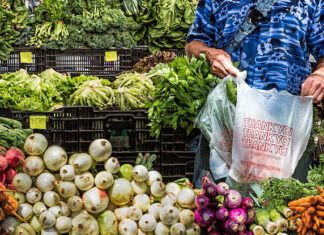 Scientists Have Pinpointed The Best Diets to Boost Healthy Aging : ScienceAlert Scientists Have Pinpointed The Best Diets to Boost Healthy Aging : ScienceAlert