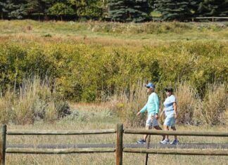 You can do a lot to age well, stay healthy – Deseret News You can do a lot to age well, stay healthy – Deseret News