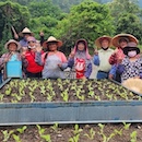 Indigenous views of elderhood offer lessons on aging Indigenous views of elderhood offer lessons on aging