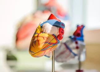 Frontiers | Effects of singing on vascular health in older adults with coronary artery disease: a randomized, crossover trial Frontiers | Effects of singing on vascular health in older adults with coronary artery disease: a randomized, crossover trial