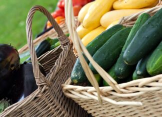 Geriatric health expert stresses diet in aging Geriatric health expert stresses diet in aging