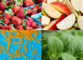 In Healthy Aging, Carb Quality Counts In Healthy Aging, Carb Quality Counts