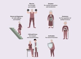 Karger Publishers releases free-access eBook “Healthy Aging” Karger Publishers releases free-access eBook "Healthy Aging"