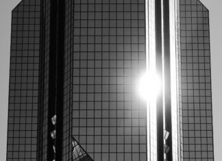 The Brief: How Next50 is investing its endowment for healthy aging The Brief: How Next50 is investing its endowment for healthy aging