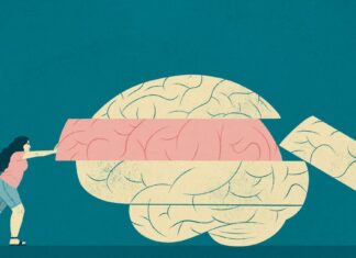 Can lifestyle changes later in life change brain health? – Deseret News Can lifestyle changes later in life change brain health? – Deseret News