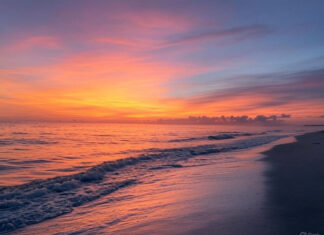 High blood pressure’s hidden impact on kidney health in older adults High blood pressure’s hidden impact on kidney health in older adults