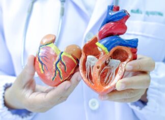 New tool finds most Americans have hearts older than their actual age New tool finds most Americans have hearts older than their actual age