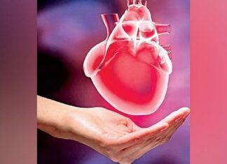 India’s heart health crisis beginning early due to sedentary lifestyles, processed diets: Study India's heart health crisis beginning early due to sedentary lifestyles, processed diets: Study