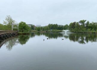 Robust Walk-a-thon: A Fun Fitness Event for Seniors! Robust Walk-a-thon: A Fun Fitness Event for Seniors!