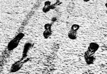 4,000 steps once or twice a week may help reduce risk 4,000 steps once or twice a week may help reduce risk