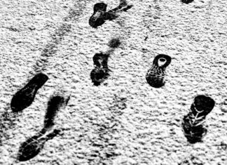 4,000 steps once or twice a week may help reduce risk 4,000 steps once or twice a week may help reduce risk