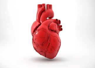 SGLT2 Inhibitors Promising for Heart Health in Seniors SGLT2 Inhibitors Promising for Heart Health in Seniors