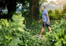 ‘Japanese Walking’ May Improve Heart Health, Lower Blood Pressure ‘Japanese Walking’ May Improve Heart Health, Lower Blood Pressure