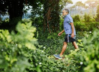 ‘Japanese Walking’ May Improve Heart Health, Lower Blood Pressure ‘Japanese Walking’ May Improve Heart Health, Lower Blood Pressure