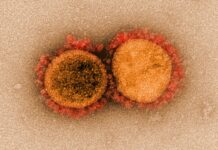 Link Between Mental Health and Long COVID in Older Women Link Between Mental Health and Long COVID in Older Women