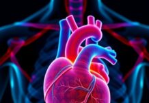 Unveiling Muscle Viscoelasticity’s Impact in Heart Failure Unveiling Muscle Viscoelasticity’s Impact in Heart Failure