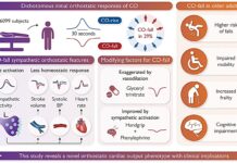 New heart finding linked with major health conditions in older age New heart finding linked with major health conditions in older age