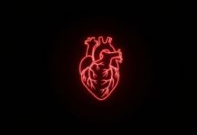 RSV Infection Raises Year-Long Heart Risk in Seniors: Study vs. Flu A vibrant, neon outline of an elderly person