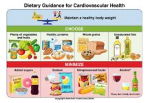 Following 9 key steps for a lifetime of eating well can support heart health Following 9 key steps for a lifetime of eating well can support heart health