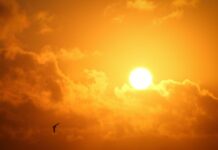 How extreme heat affects heart health Summer heat isn’t just uncomfortable — it can be dangerous, especially for people living with h...