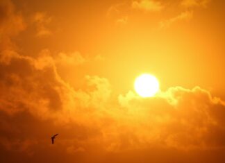 How extreme heat affects heart health Summer heat isn’t just uncomfortable — it can be dangerous, especially for people living with h...
