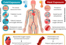 Protecting heart health in an era of temperature extremes Protecting heart health in an era of temperature extremes