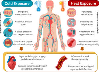 Protecting heart health in an era of temperature extremes Protecting heart health in an era of temperature extremes