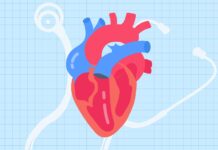 5 Heart-Health Myths Dietitians Want You to Stop Believing 5 Heart-Health Myths Dietitians Want You to Stop Believing