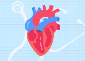 5 Heart-Health Myths Dietitians Want You to Stop Believing 5 Heart-Health Myths Dietitians Want You to Stop Believing