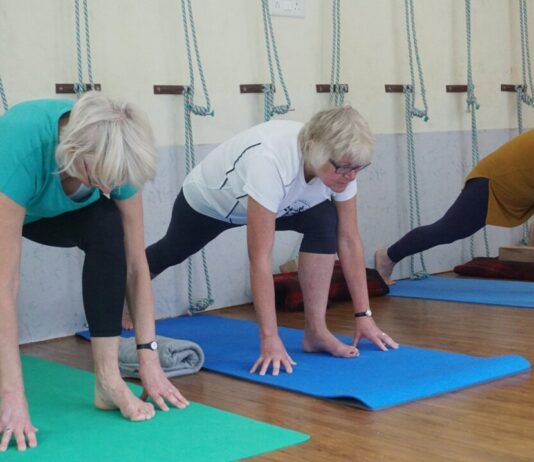 Four minutes of daily resistance training can quadruple fitness in older adults Four minutes of daily resistance training can quadruple fitness in older adults