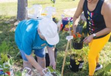 Comal County senior gardens cultivate mental health, connection Comal County senior gardens cultivate mental health, connection