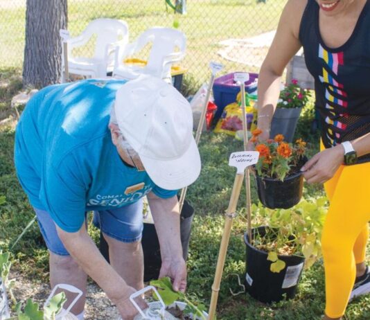 Comal County senior gardens cultivate mental health, connection Comal County senior gardens cultivate mental health, connection